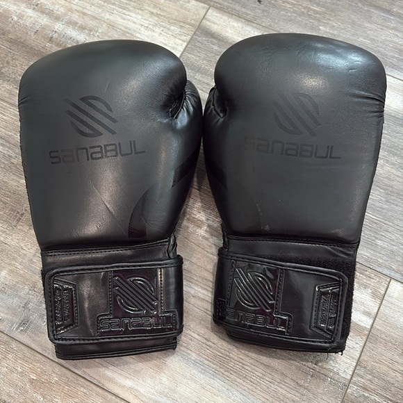 Sanabul 16oz Boxing Gloves - Picture 4 of 10